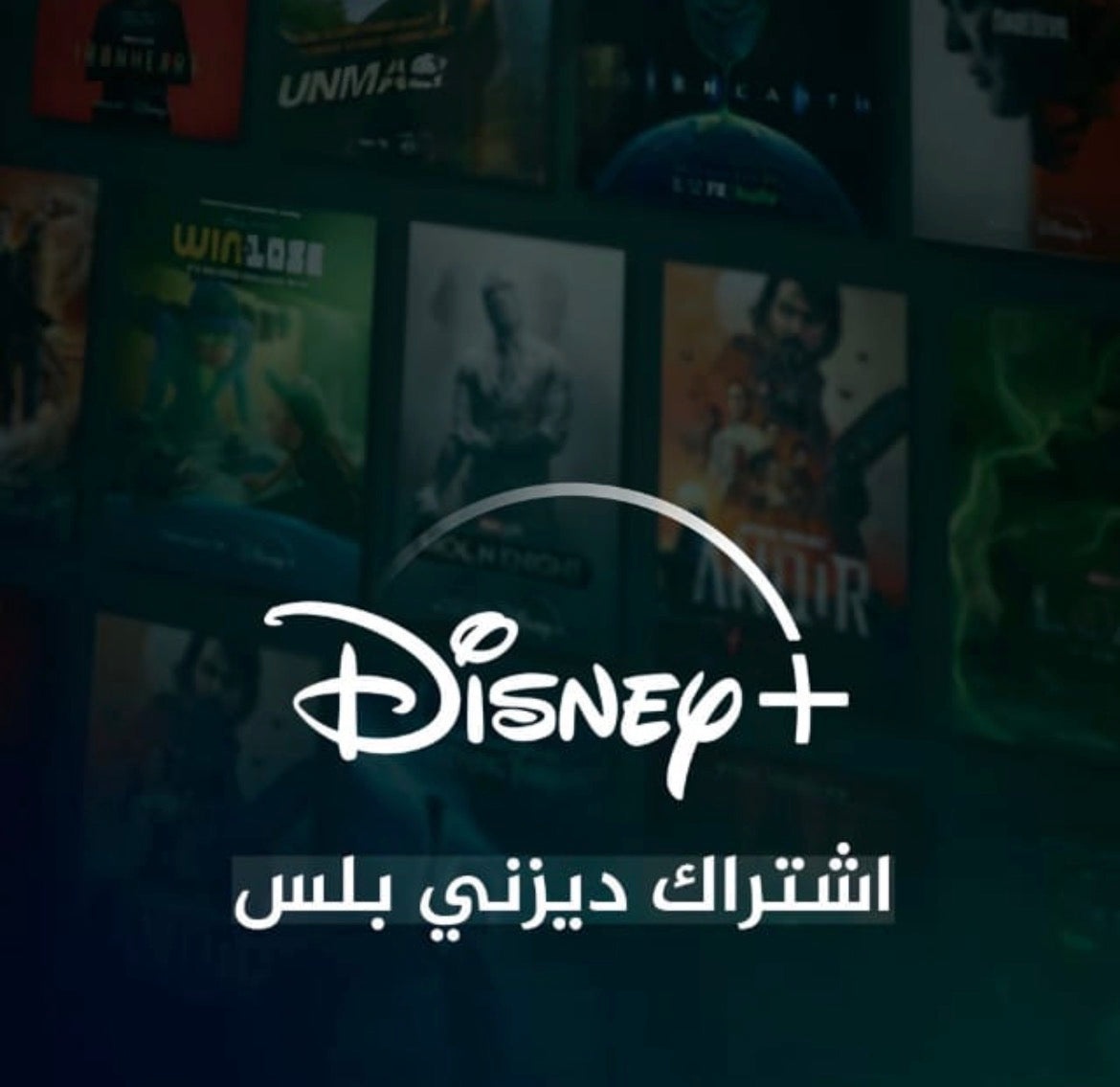 Disney+ subscription 6 months